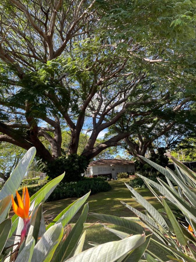Ka Hale Kealoha Apartment Kaunakakai Bagian luar foto