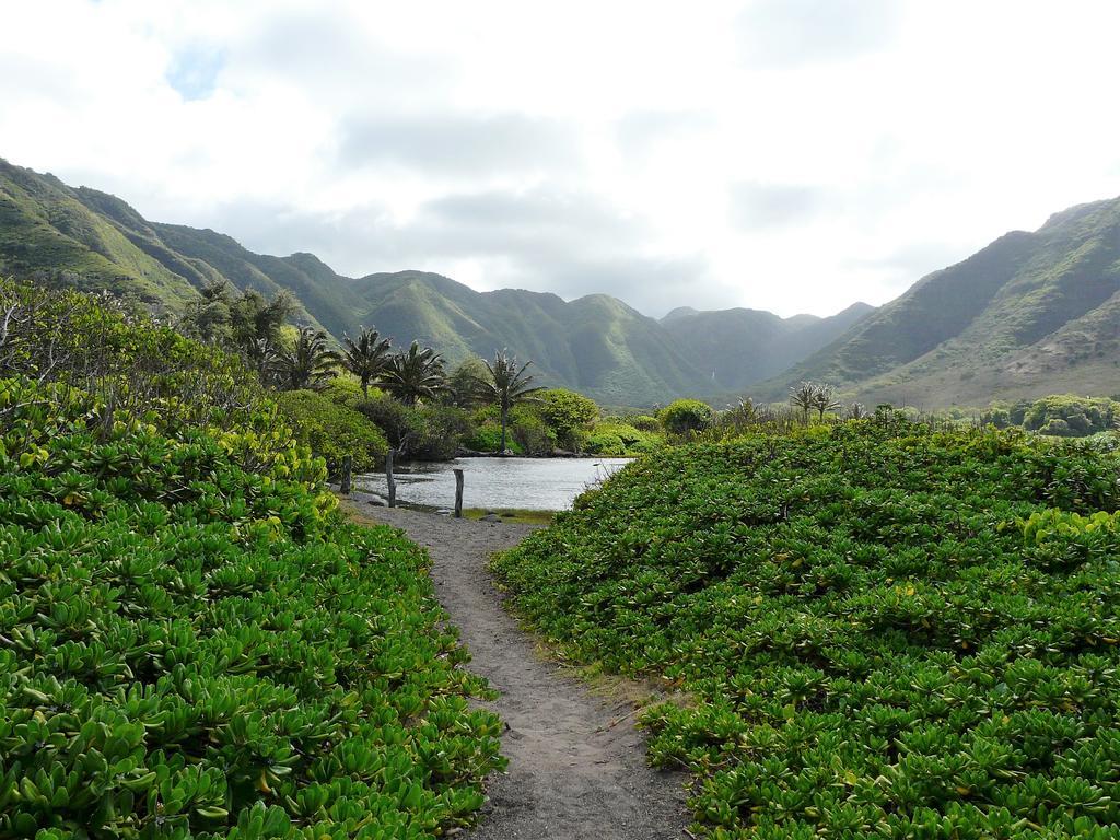 Ka Hale Kealoha Apartment Kaunakakai Bagian luar foto