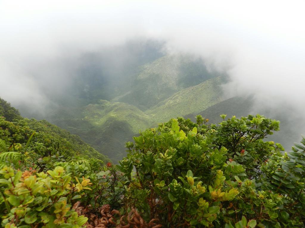 Ka Hale Kealoha Apartment Kaunakakai Bagian luar foto